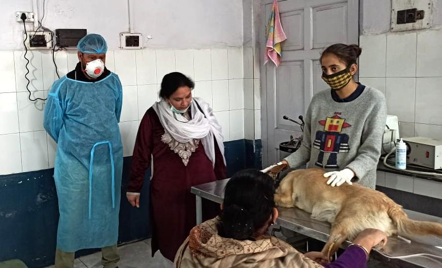 Director AHD Kashmir Ms Purnima Mittal (KAS) visits Central Veterinary  Hospital – takes stock of working and supplies. – Animal Husbandry  Department Kashmir | Jammu and Kashmir Government